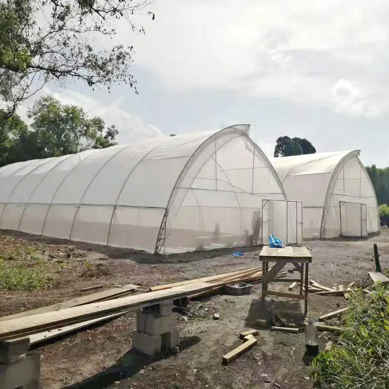 Agricultural Sawtooth Greenhouse with vertical hydroponic