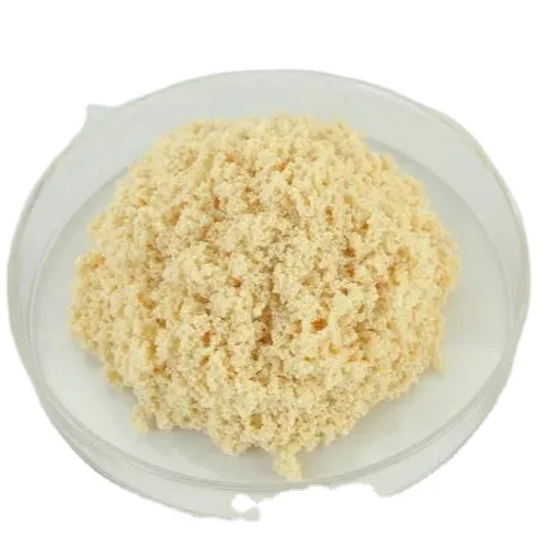 High Effluent Purity Industrial Grade Strong Acid Cation Exchanger Anion Exchange Resin 2000 H For Condensate Polishers
