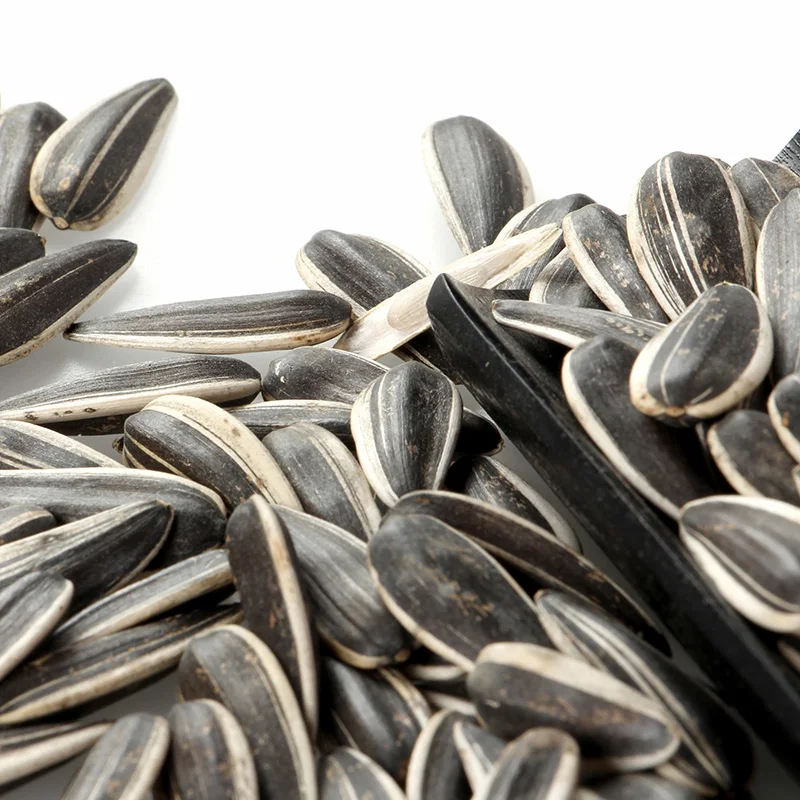China Seed Sunflower Seeds 601 with Wholesale price