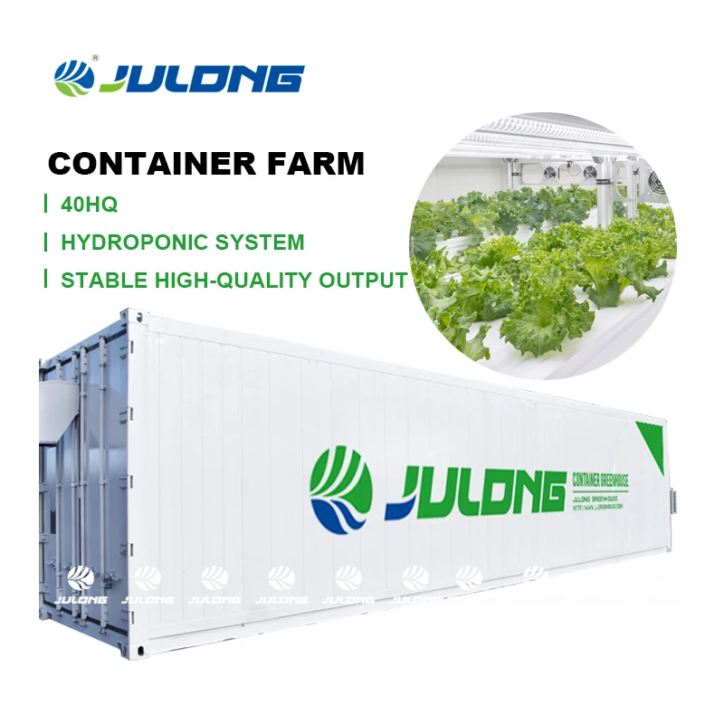 Hot Sale container hydroponic farm with NFT Hydroponic Grow Systems