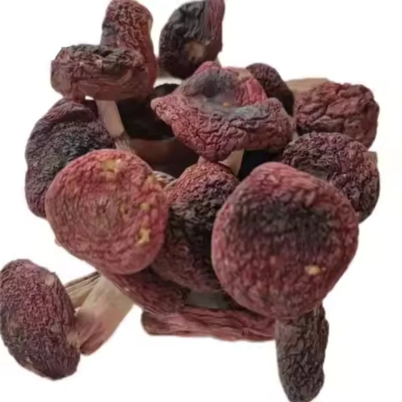 Хит продаж Сырье 100% органического Сушеного Красного гриба для приготовления пищи и приема