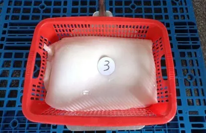 Hot Sale Seafood Frozen Giant Squid Fillet Dosidicus Gigas Squid Fillets 2-4KG