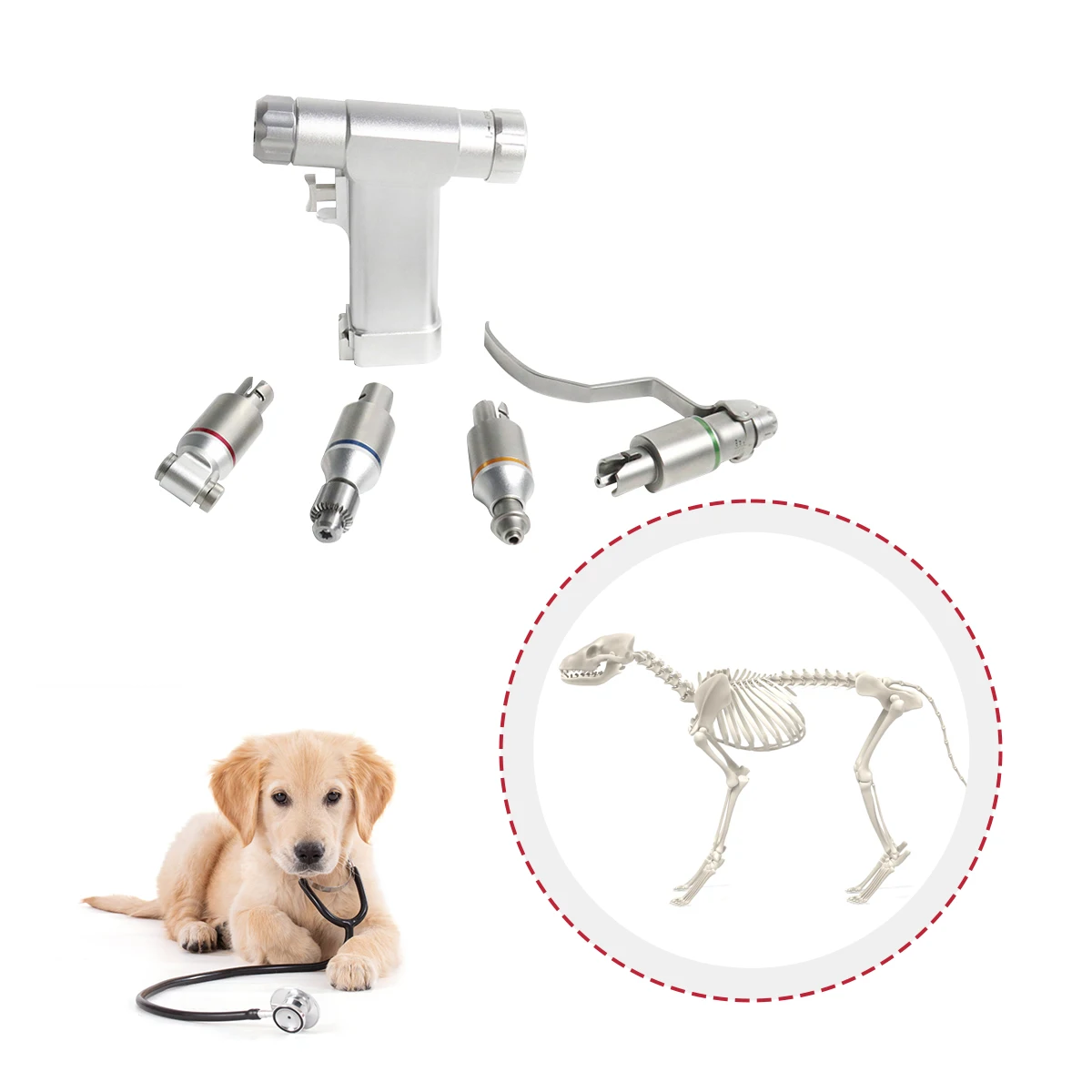Factory Direct High Quality Veterinary Medical 4-in-1 Power Tools Orthopedic Surgical Instruments