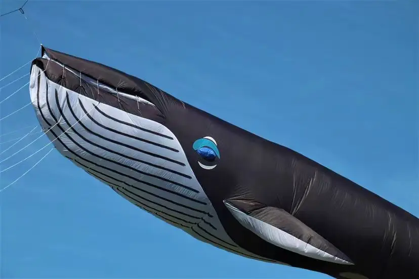Free shipping Best product fish kite soft flying professional kites for adults large inflatable kite show ripstop