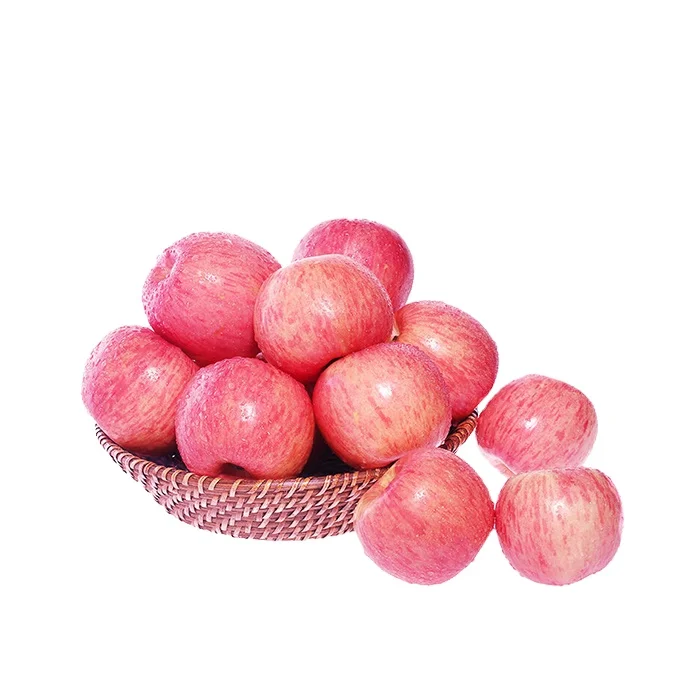 fresh new season  apple