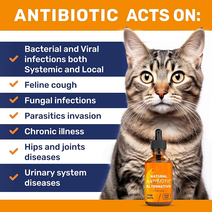 Natural Antibiotics For Cats Antibacterial And Inflammatory Drops Anti Viral Anti Fungal Liquid Supplements For Cat health care