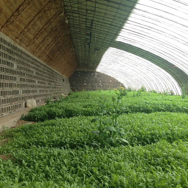 Solar greenhouse for agriculture
