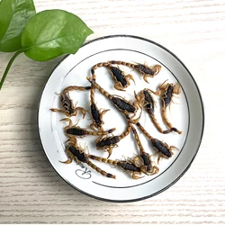 Снэки с высоким содержанием белка, низким содержанием жира, естественное питание, червь, эко-свежий скорпион