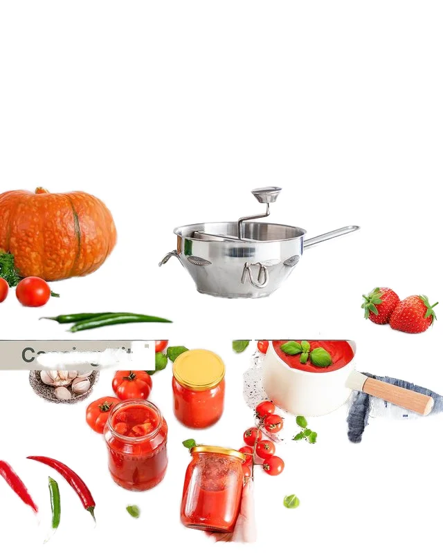 Stainless Steel Food Mill with Handle Rotary Food Mill with 3 Interchangeable Disks Making Puree or Soups of Vegetables Kitchen
