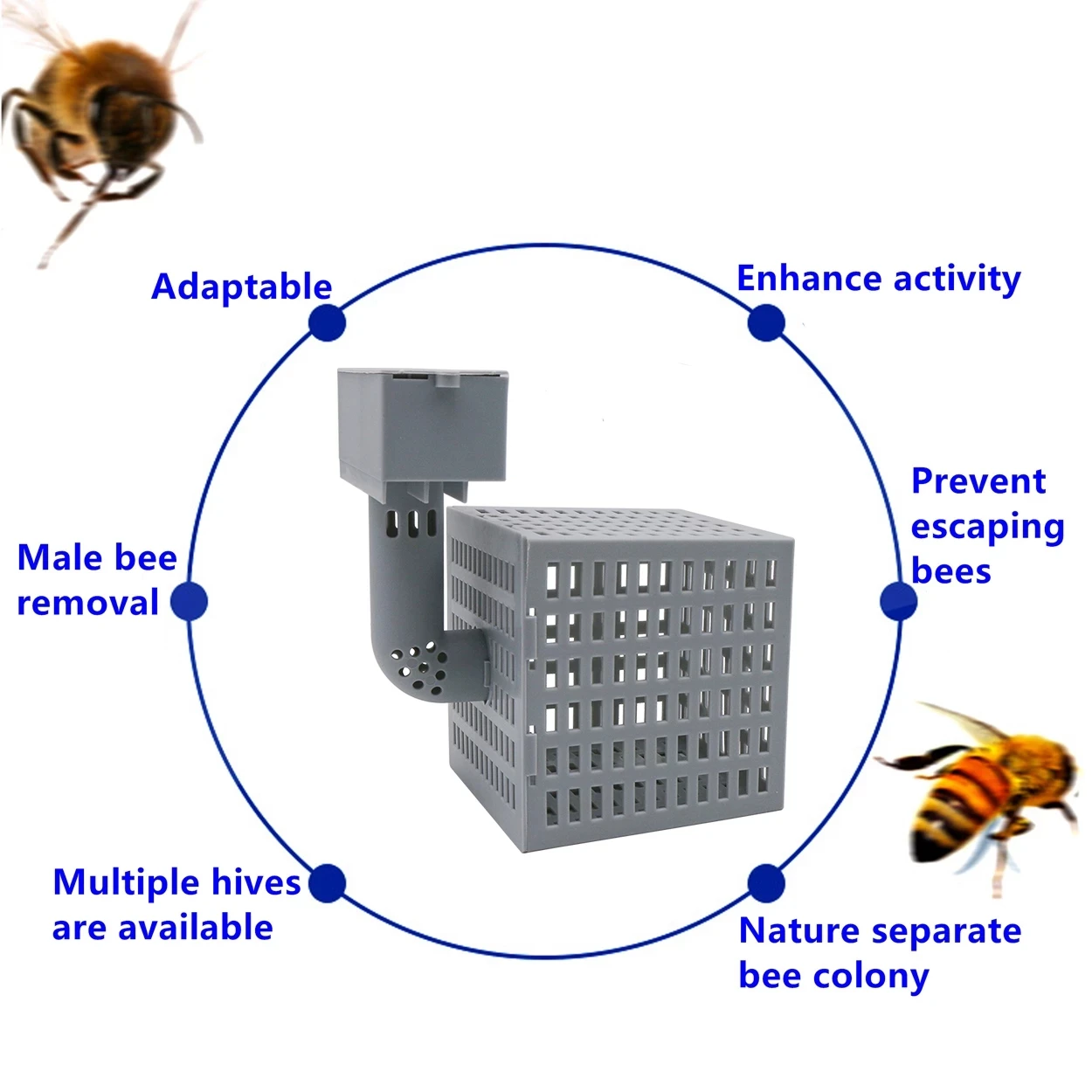Automatic Dividing Beehive Beekeeping Tool Anti-escape Isolation Bee Tool Queen Rearing Cage