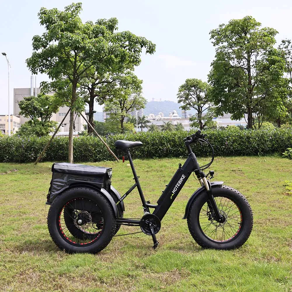 New Design 3 wheel electric bike ET250 cheap electric tricycle 20 inch 36V 250W motor electric bike with 3 wheels