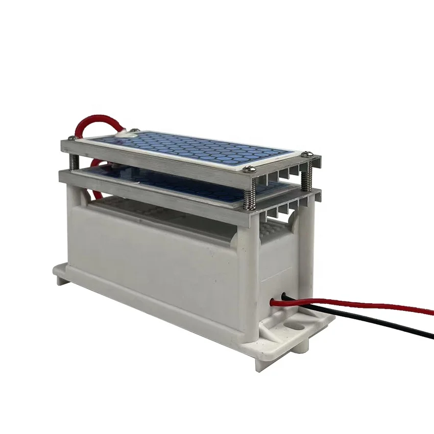 Ozone Generator - Ceramic Chip Ozone Generator - 5g/H,10g/H Output - Tank Heat Dissipation Upgrade