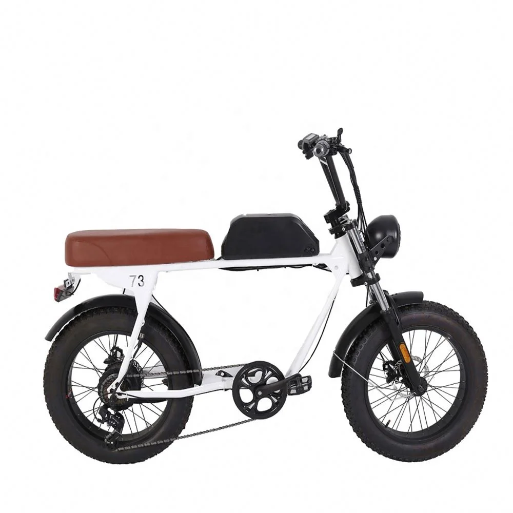 Super powered electric motorcycle style vintage fat tire electric bike retro electric bike 2000w optional for sale
