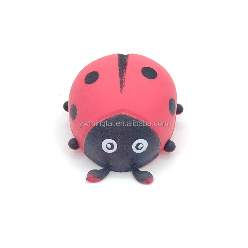 TPR ladybeetle (5).jpg