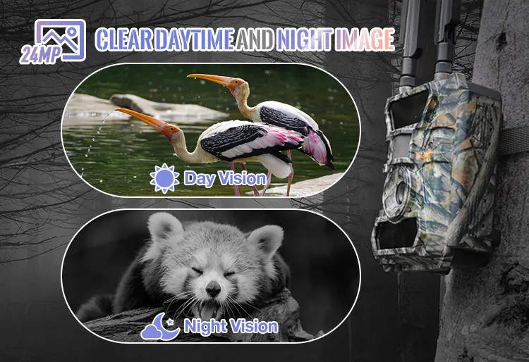 Cheapest Mini outdoor wildlife camera trap video night vision hunting camera