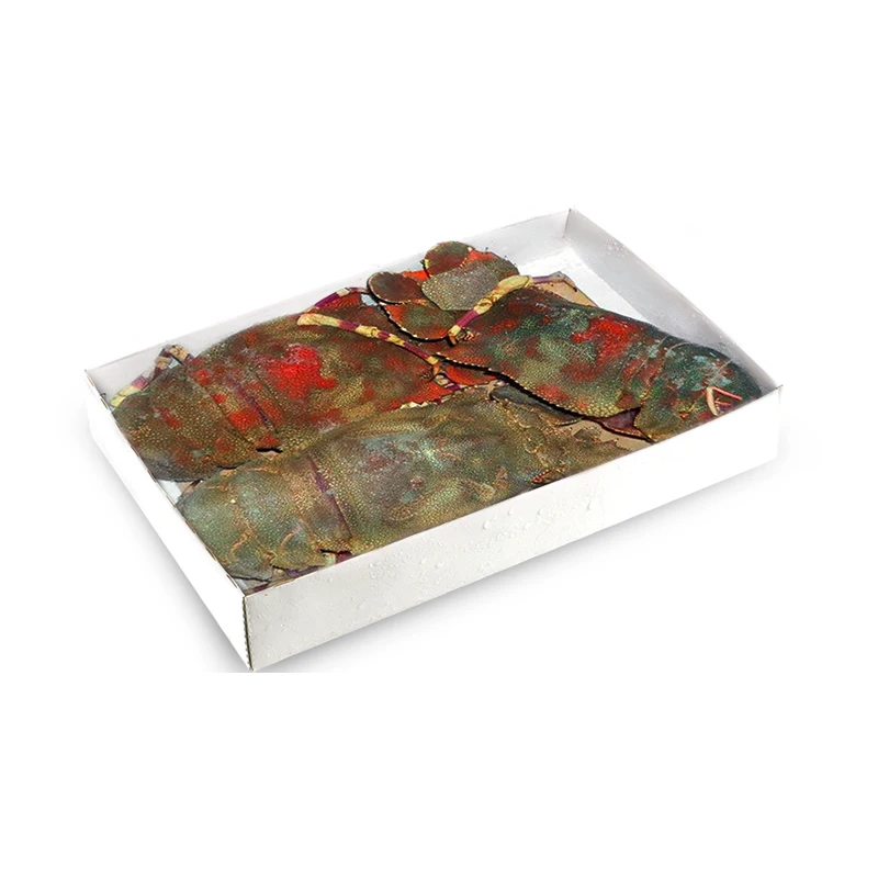 Slipper Lobster frozen seafood from deep Mozambique waters high quality frozen food