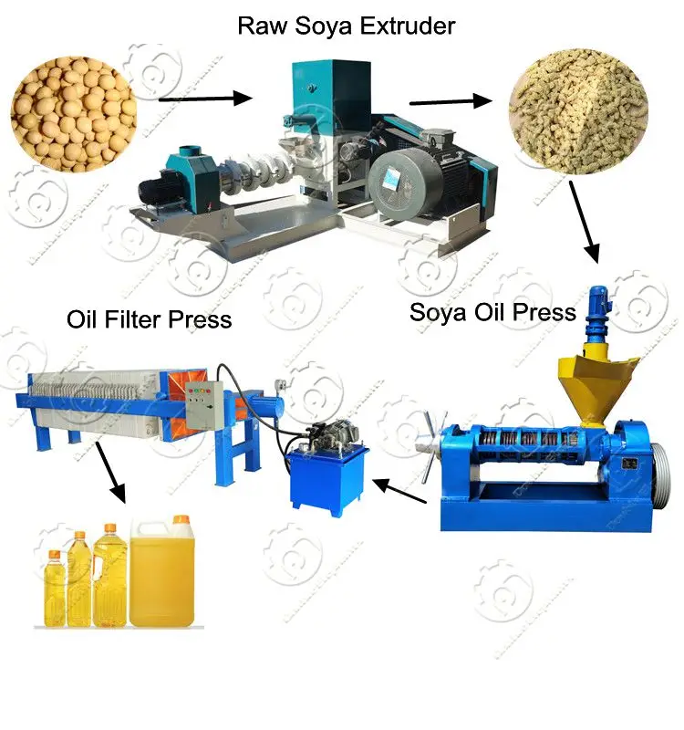 5-50TD Complete sunflower groundnut soybean vegetable oil production processing press machine plant