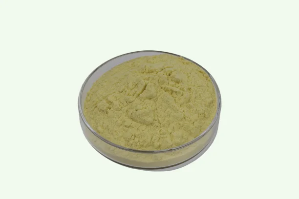 Pallas Biotech Supply Glucose Oxidase  Food Grade Glucose Oxidase Enzyme For Baking Enzymes