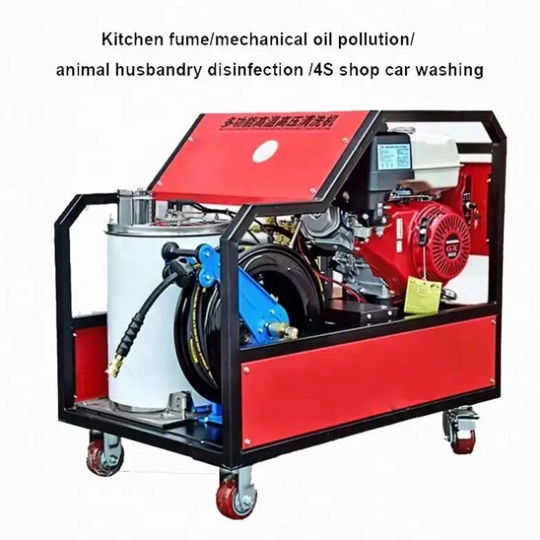 Hot Sale 300 Bar Cold Water High Pressure Machine Cle Wholesale