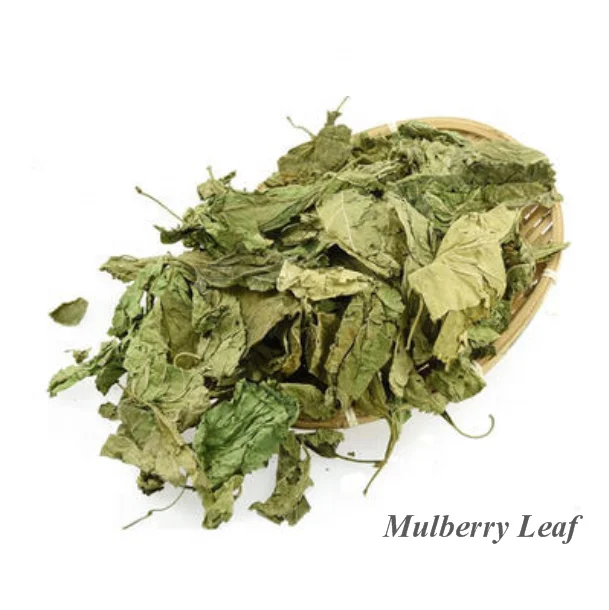 
Chinese Herbal Materials Folium Mori 