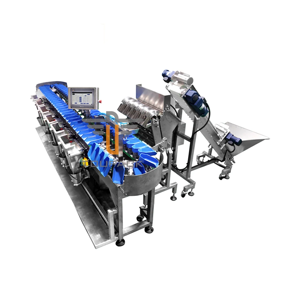 Check Weigher 6 Level Conveyor Belt Tomato Grader Fruit Sorting Machine Apple