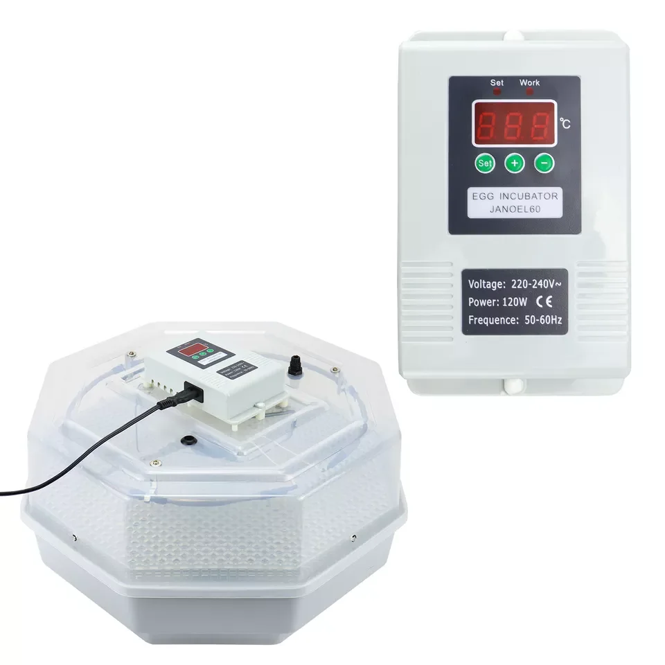 JN2-60 Egg Incubators, Hatching Eggs, Chicken Incubator