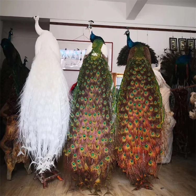 High quality simulated animal Christmas Wedding decoration supplies elegant crafts blue white peacock for shopping home ornament