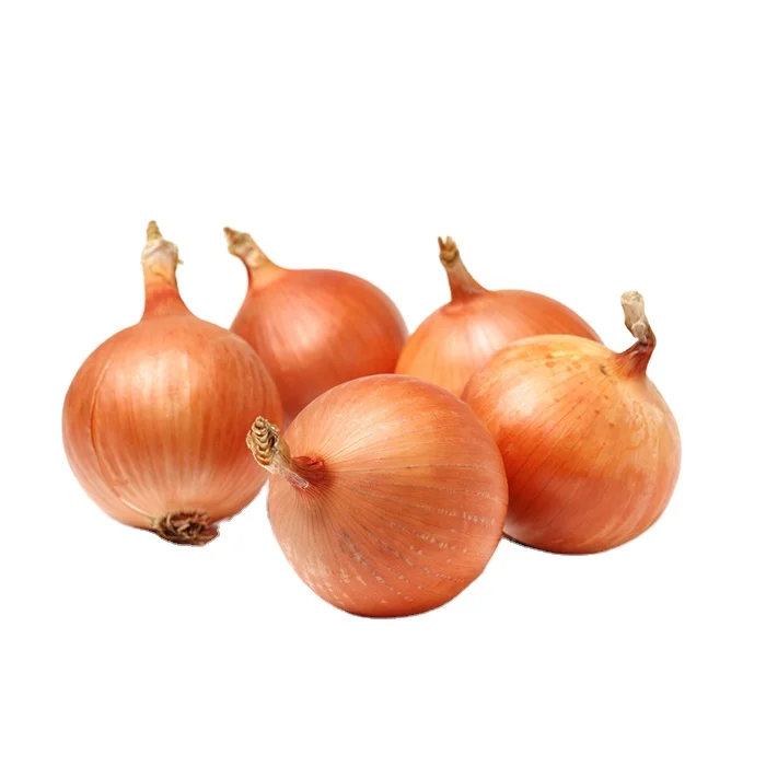 China New Crop Fresh Red Yellow White Onion Best Price Organic Onions Wholesaler