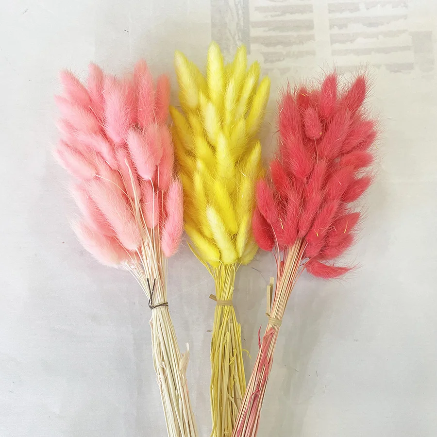 Dried lagurus ovatus bunny rabbit tail grass preserved forever flowers wedding design