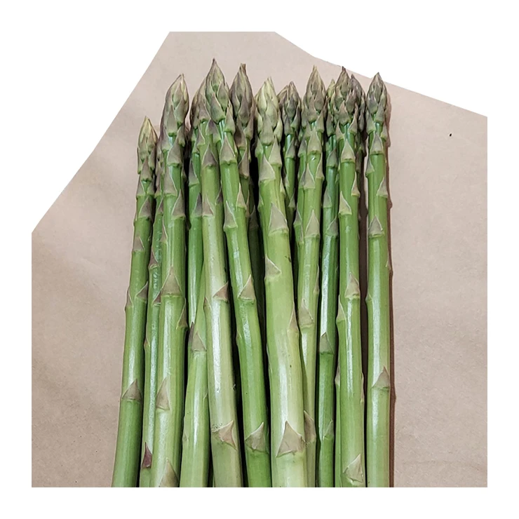 Japan imported reasonable price fresh packing asparagus asparagus
