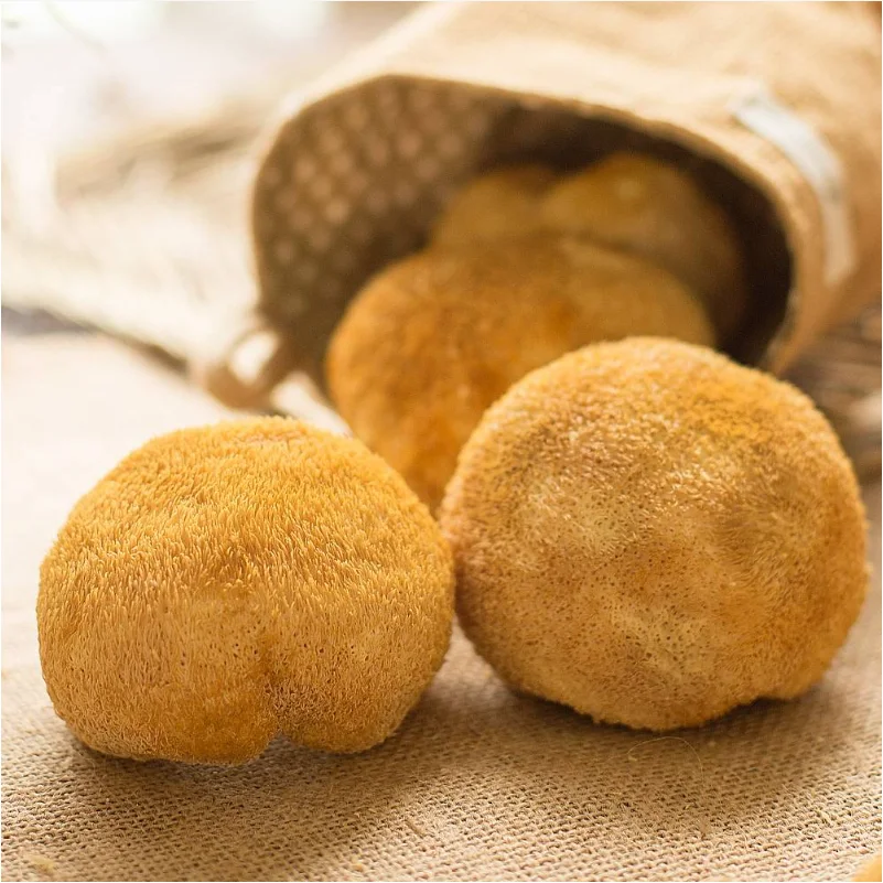 High Quality Deep-Mountain Hericium Erinaceus (Dried Large Cocklebur Mushrooms) Shiitake Fungus Whole Plant Extract for Food Use