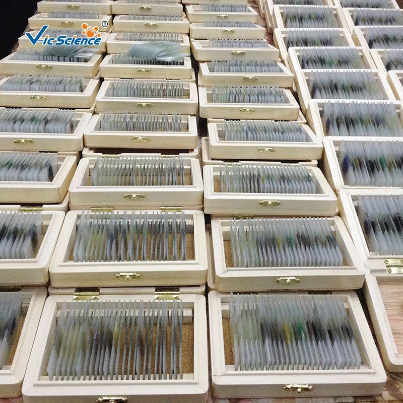 raw rocks and minerals slides geography mineral grinding prepared slide mineral prepared slides