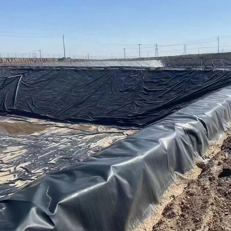 0.3mm 0.5mm HDPE Pond Liners 0.75mm 1.0mm Shrimp Farm Pond Liner HDPE Fish Tank Geomembrane for Aquaculture