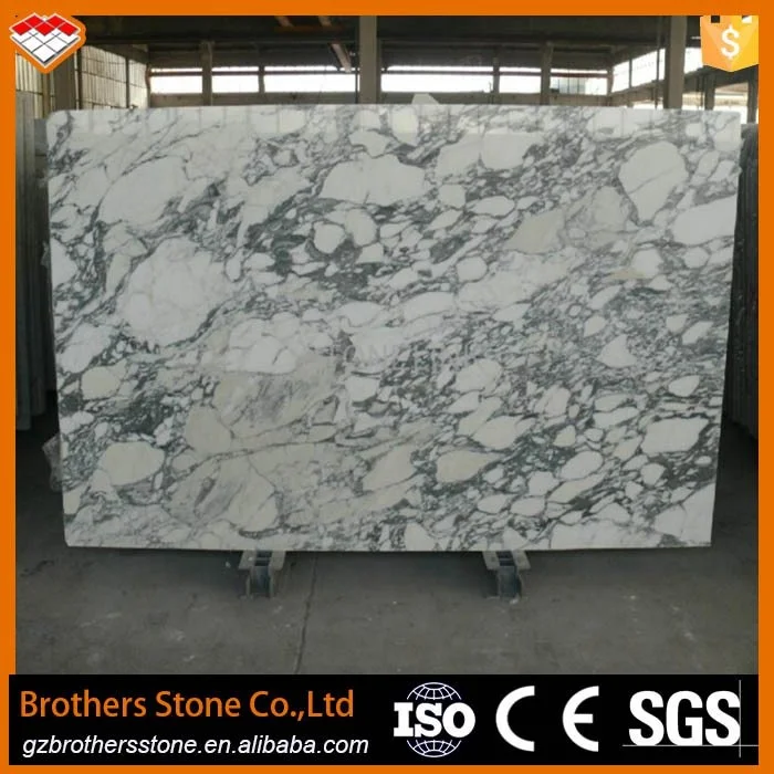 Newest Design Italy White Marble Stone Arabescato Corchia Marble Slab  for Bathroom Basin Countertop