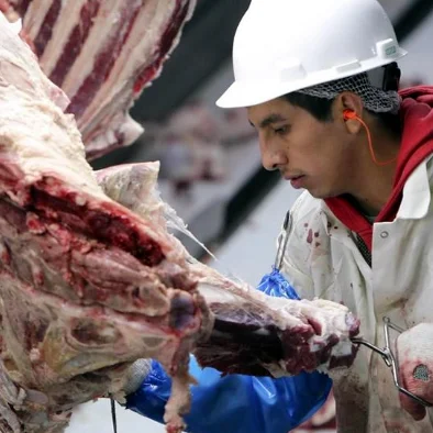 Cattle Slaughter Equipment Manufacturer From China