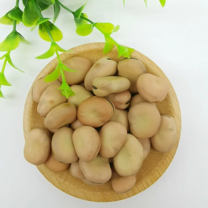 factory directly sell Liangtian broad BEAN  high-protein board  bean high premium quality with competitive price