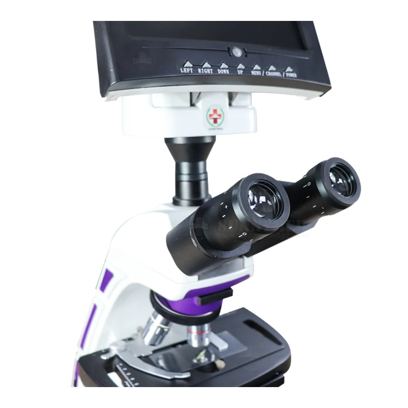 SY-B129T China LED Light Video Biological Microscope HD