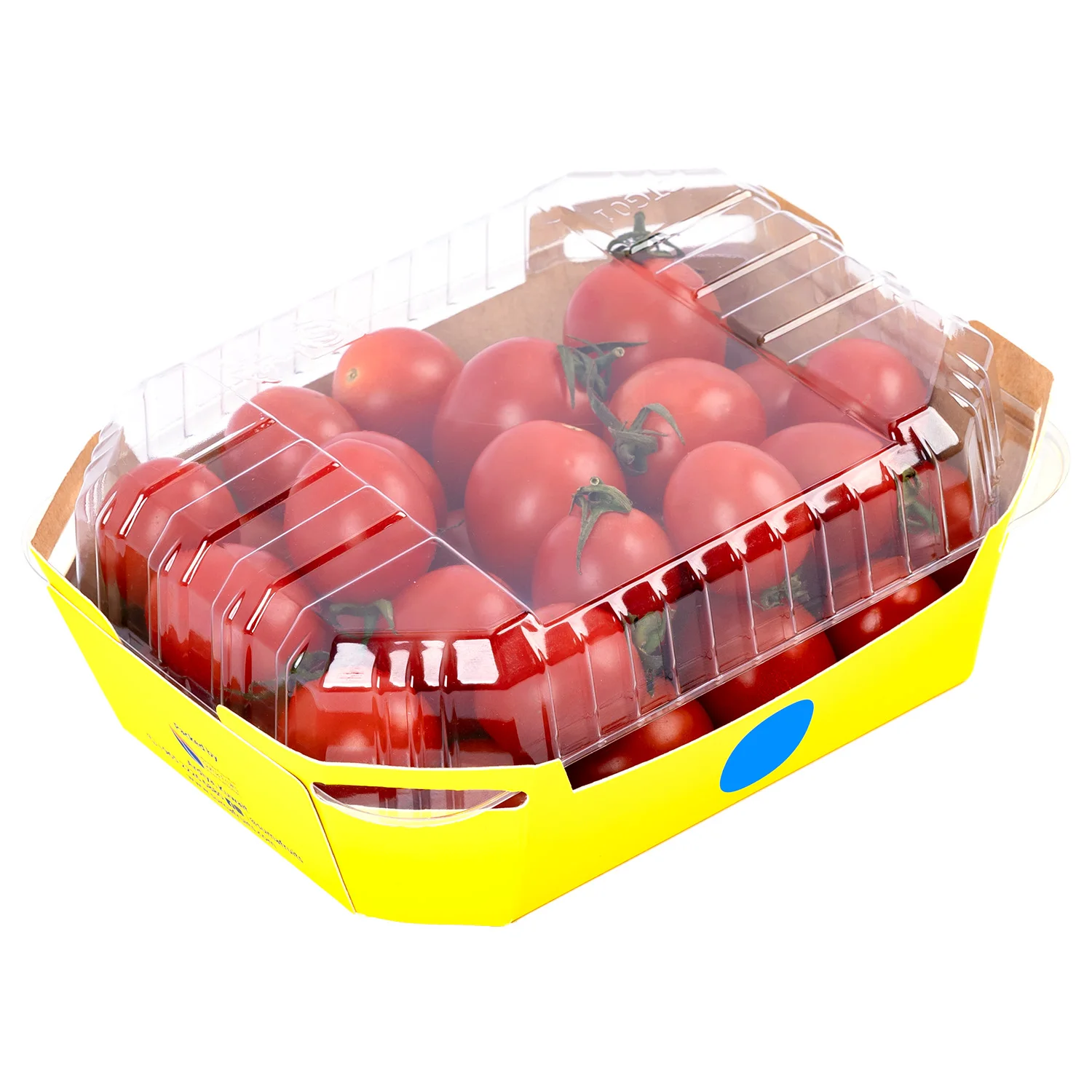 Food safety eco-paper fruits tray