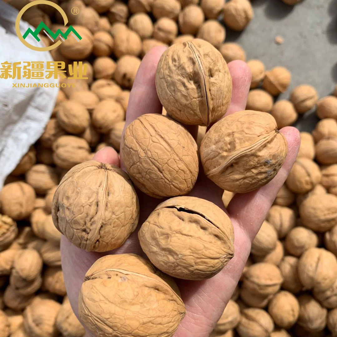Special discount ceviz top quality in shell walnuts for sale walnut dry fruit