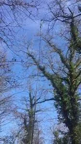 18m 60ft high rise carbon fiber extend telescopic poles with clamps for hunting/15m 18m 20m carbon pole for decoy decoy Pigeon