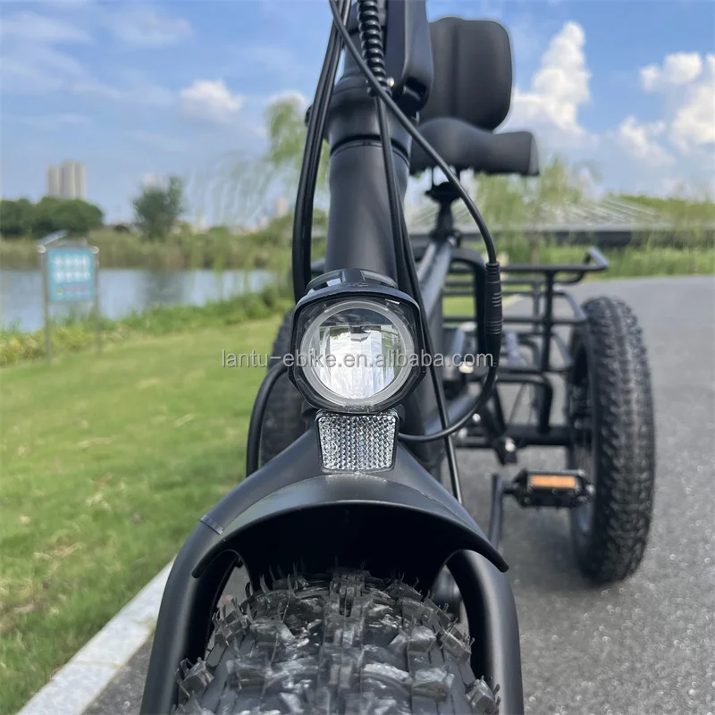 OEM Factory Custom Trike Family 48v Large Load Capacity Electric Tricycles Bike for Adults
