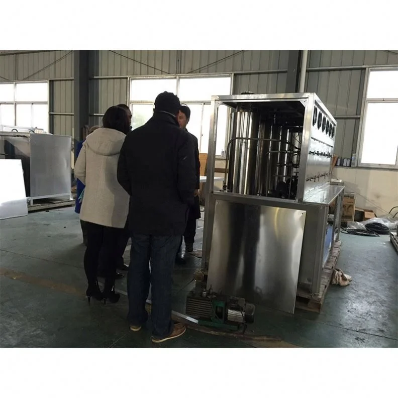 
Camellia sinensis seeds, Touch healthy supply Tea Tree seeds, Camellia Oleifera Seed 