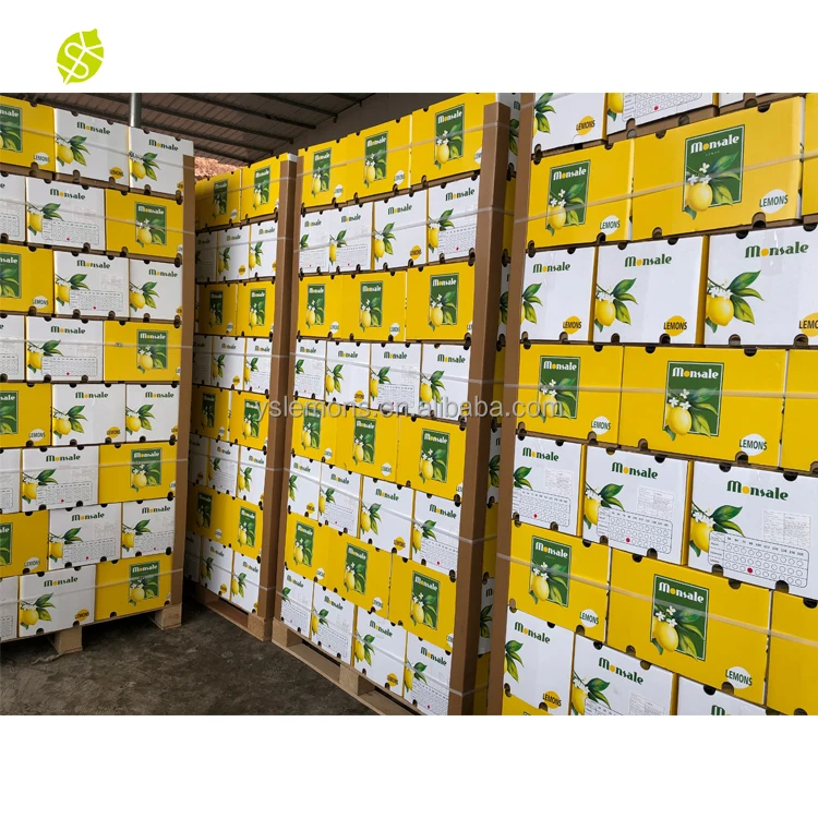 Monsale, экспортеры свежих фруктов, свежий лимон на продажу, лимоны