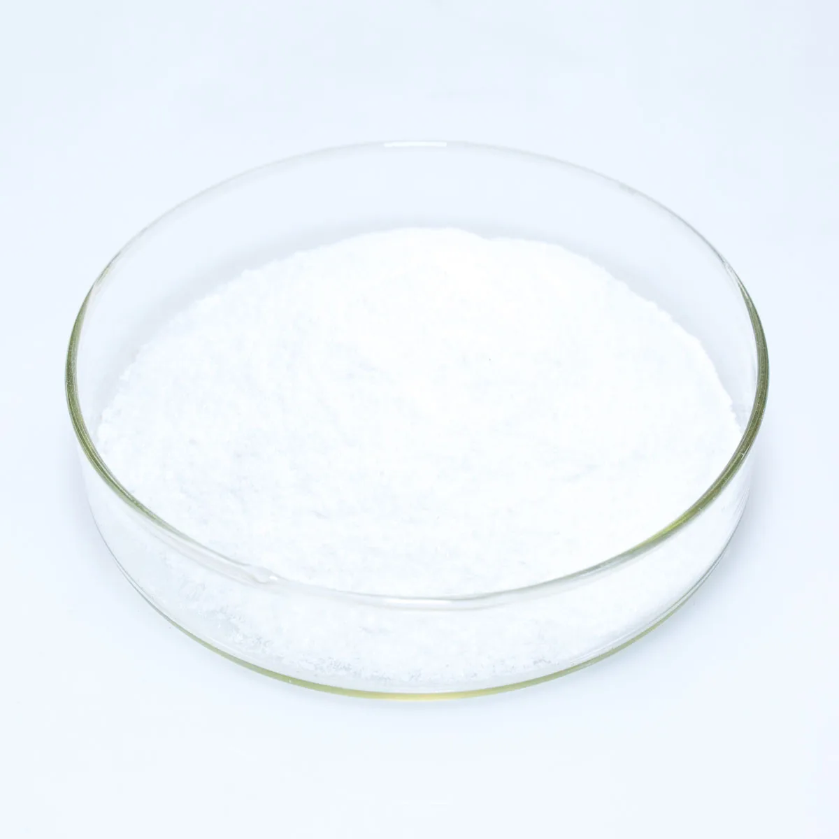Food grade  Lactobacillus rhamnosus