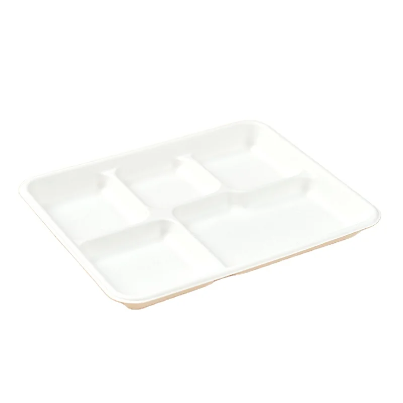 Free Samples Disposable Lunch Tray Eco-friendly biodegradable  lunch box tray