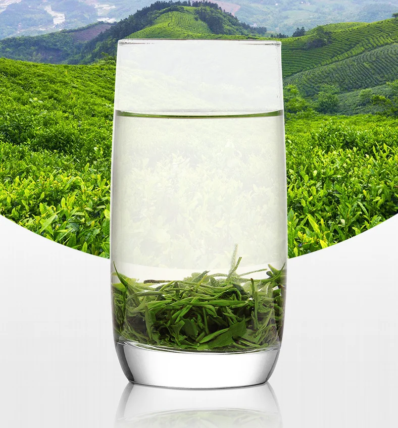 Free Sample Biluochun chinese Top Ten Famous Tea Spring Snail Green Tea Bi Luo Chun