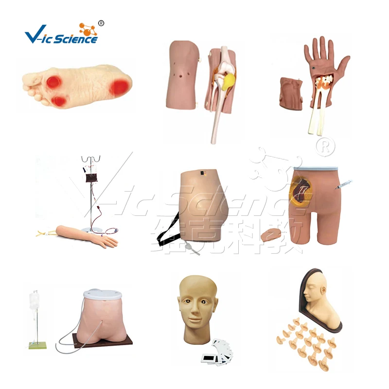 Advanced transparent female urethral catheterization model injection practice model