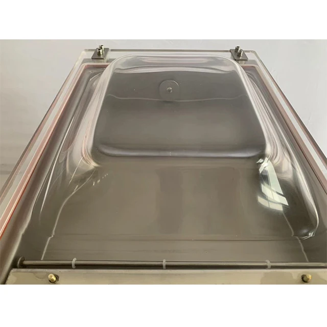 DZ-260 HOME INDUSTRY FRUIT VEGETABLE VACCUM PACKING MACHINE Packing food machine Plastic food container Hand sealer machine