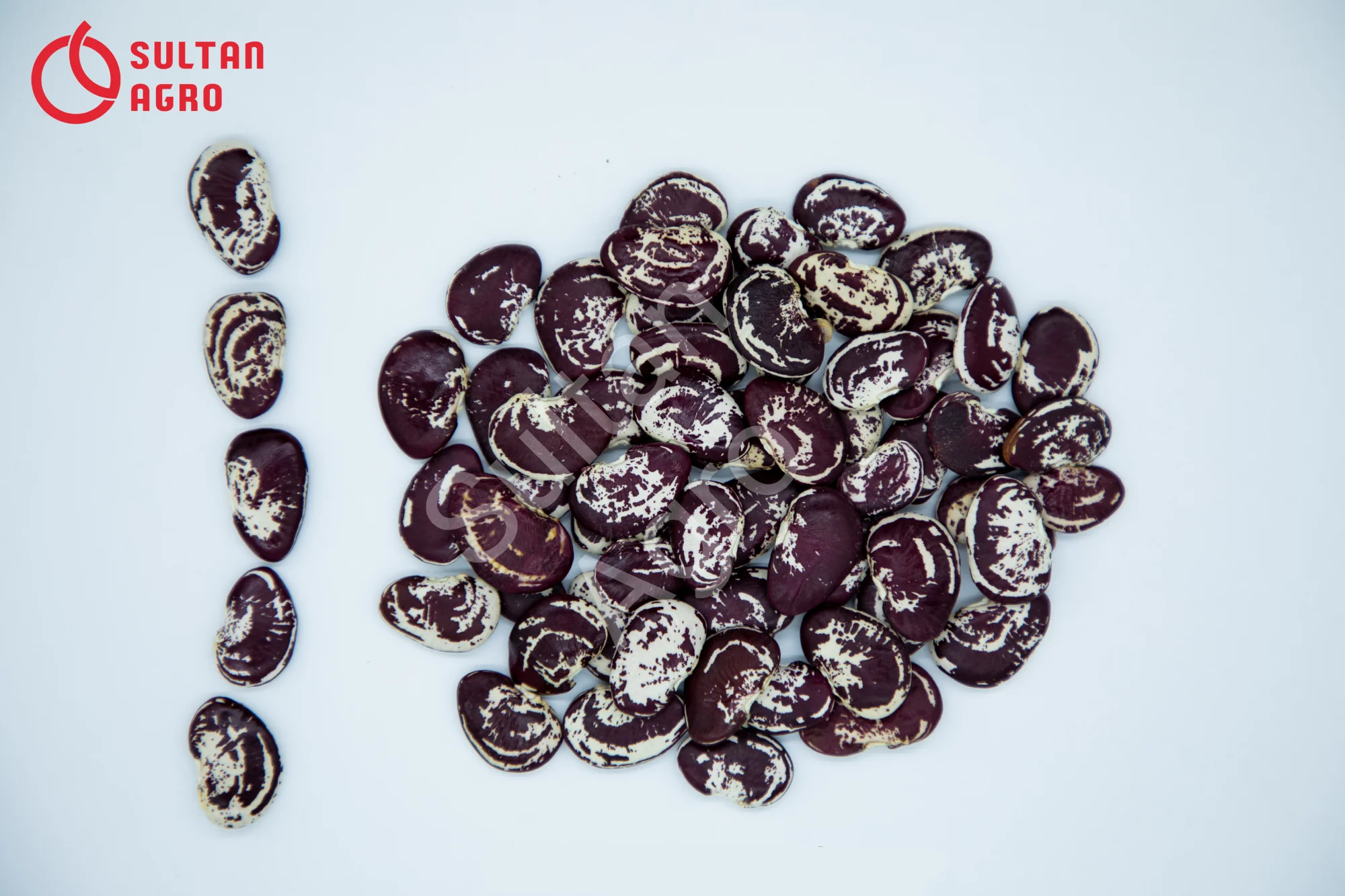 Натуральная красная зернистая фасоль, Высококачественная Органическая фасоль оптом от производителя Узбекистана