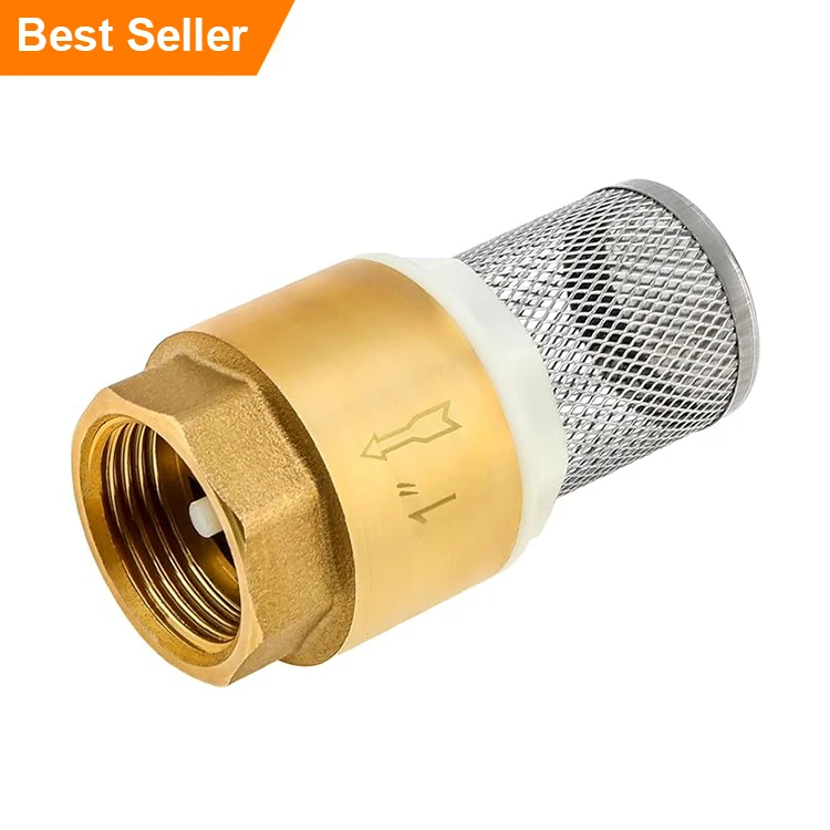 IFAN OEM Yellow Spring Vertical Filter Brass Check Valve Foot Valve Brass Cooper Check Valve For Pump
